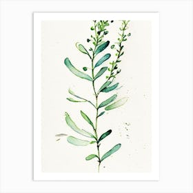 Shepherd's Purse Herb Minimalist Watercolour 1 Art Print