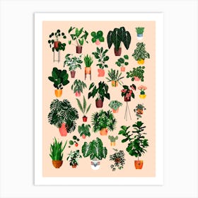 House Plant Collection Art Print