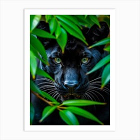 Black Panther 2 Art Print