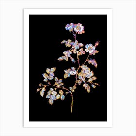 Stained Glass White Sweetbriar Rose Mosaic Botanical Illustration on Black n.0136 Art Print