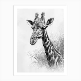 Giraffe In The Grass Pencil Drawing 12 Art Print