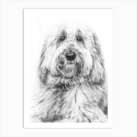 Black And White Dog Portrait 2 Art Print