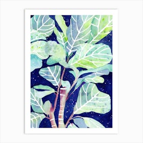 Fig Plant Art Print