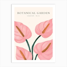 Botanical Garden Collection 4 Art Print