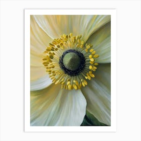 White Anemone Flower Art Print