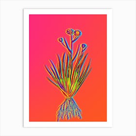 Neon Blue Corn Lily Botanical in Hot Pink and Electric Blue n.0384 Art Print