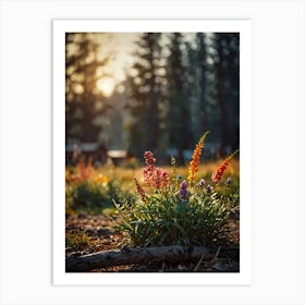 Wildflowers At Sunrise Art Print