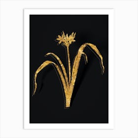 Vintage Small Flowered Pancratium Botanical in Gold on Black n.0020 Art Print