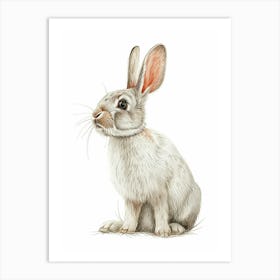 Polish Rex Rabbit Kids Illustration 1 Art Print