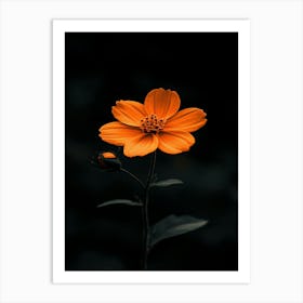 Orange Flower 13 Art Print