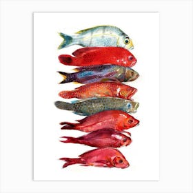 Fishes 3 Art Print