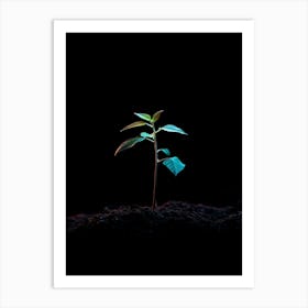 Small Green Plant On Black Background 16 Art Print