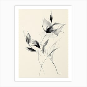 Flowers In Black And White 1 Art Print