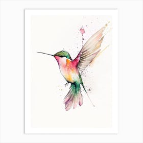 Calliope Hummingbird Minimalist Watercolour 4 Art Print