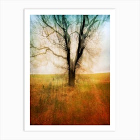 Branxton Moor Fields Art Print