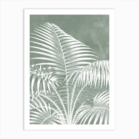 Palm Tree Leaves in Sage Green, Tropical Botanical 1 Art Print