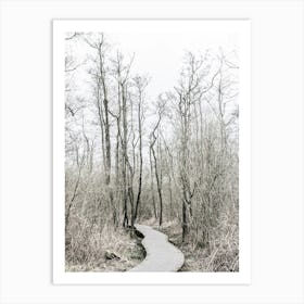 Path Through Woods In The Nature Of The Netherlands Art Print