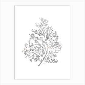 Grey Plant No486b Art Print