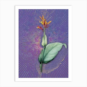 Vintage Indian Shot Botanical Illustration on Veri Peri n.0297 Art Print