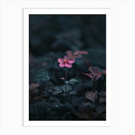 Single Flower In The Dark 68 Art Print