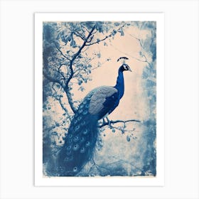 Blue & White Peacock On A Tree Cyanotype Art Print