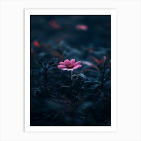 Dark Pink Flower 1 Art Print