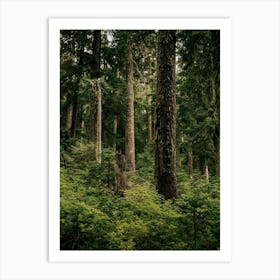 Green Forest Art Print