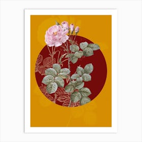 Vintage Botanical Damask Rose on Circle Red on Yellow n.0075 Art Print