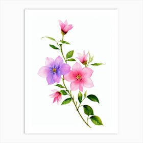 Jasmine 2 Watercolour Flower Art Print
