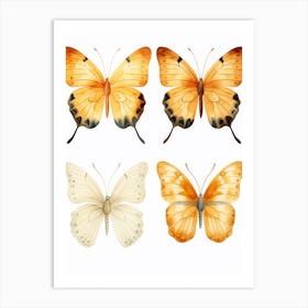 Butterfly Set 1 Art Print