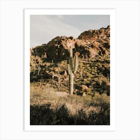 Desert Hiking Trail Scenery Art Print