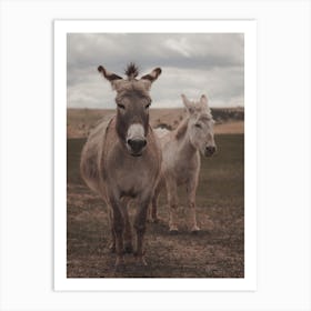 Two Donkeys Art Print