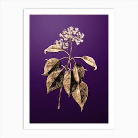 Gold Botanical Pagoda Dogwood on Royal Purple n.0131 Art Print