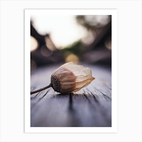 Ephemeral Beauty
A delicate, close-up shot of a dried flower bud with translucent petals, capturing the beauty of nature's impermanence.
Ideal for a bedroom or relaxing space, adding a touch of calm and reflection. Art Print