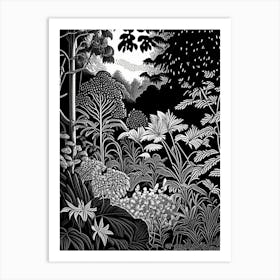 Smith College Botanic Garden, 1, Usa Linocut Black And White Vintage Art Print