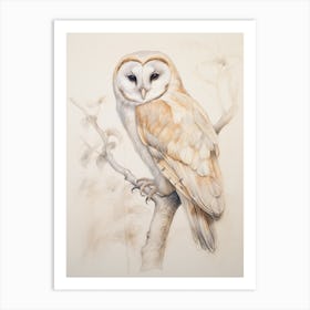 Vintage Bird Drawing Barn Owl 3 Art Print