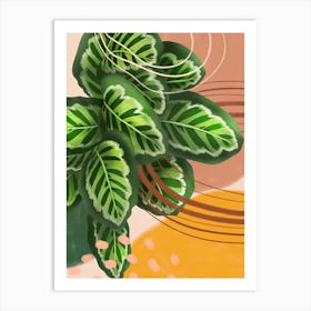 Abstract Calathea Roseopicta Art Print