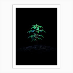 Small Tree In The Dark Art Print