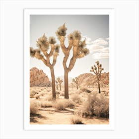  Photograph Of A Joshua Trees 1 Art Print