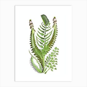 Mountain Spleenwort Vintage Botanical Poster Art Print