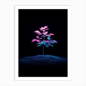 Tree In The Dark 28 Art Print