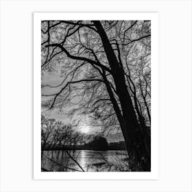 Tree in Winter Black And White Photo Art Print