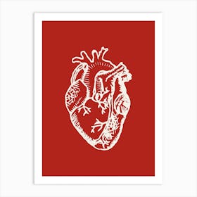 Human Heart Art Print