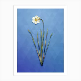 Vintage Narcissus Poeticus Botanical Art on Blue Perennial n.0505 Art Print