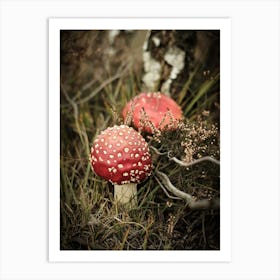 Red Mushrooms // Nature Photography 1 Art Print