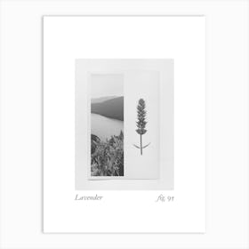 Lavender Botanical Collage 1 Art Print