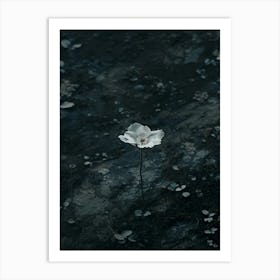 Flower In The Water 15 Art Print