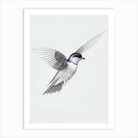 Chimney Swift B&W Pencil Drawing 1 Bird Art Print