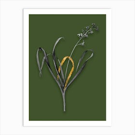 Vintage Dutch Hyacinth Black and White Gold Leaf Floral Art on Olive Green n.0510 Art Print