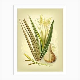 Lemongrass Spices And Herbs Retro Drawing 2 Art Print